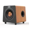 3 inch Subwoofer with Antique-Copper Fiberglass Brushed Dust Cap in a Wood-Veneer Cabinet -1